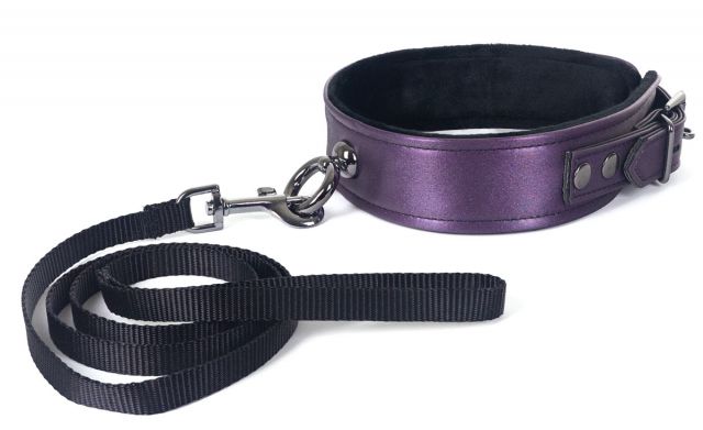Collar & Leash- Galaxy Legend Purple
